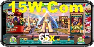 Premium Interface 65x