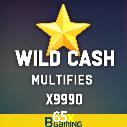 Flash Promotion 65x
